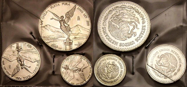 Fractional silver Mexican Libertads from www.lainson.eu